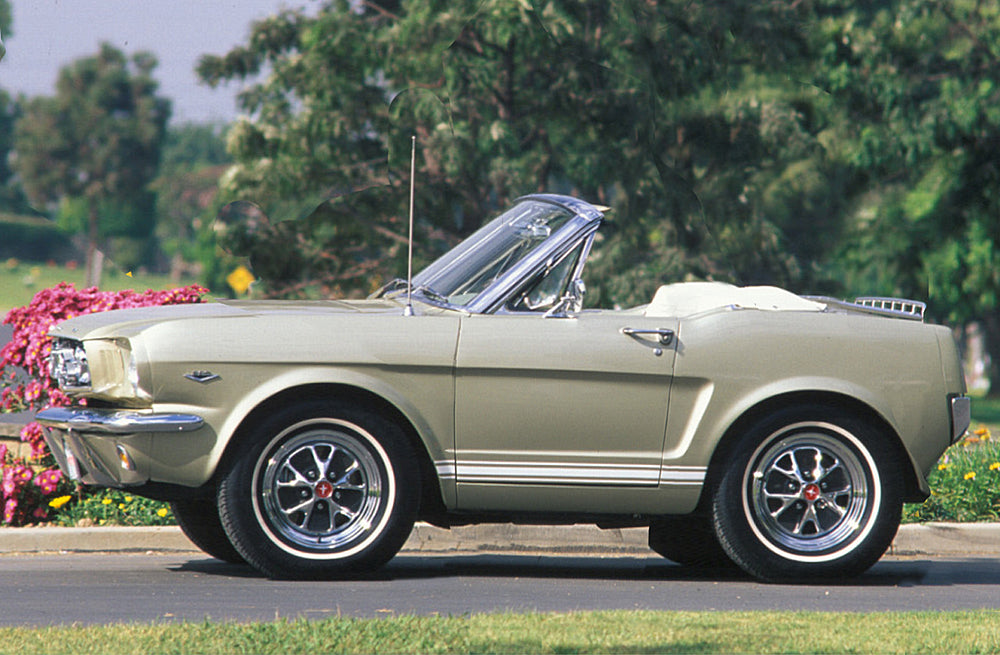 Mustang Print