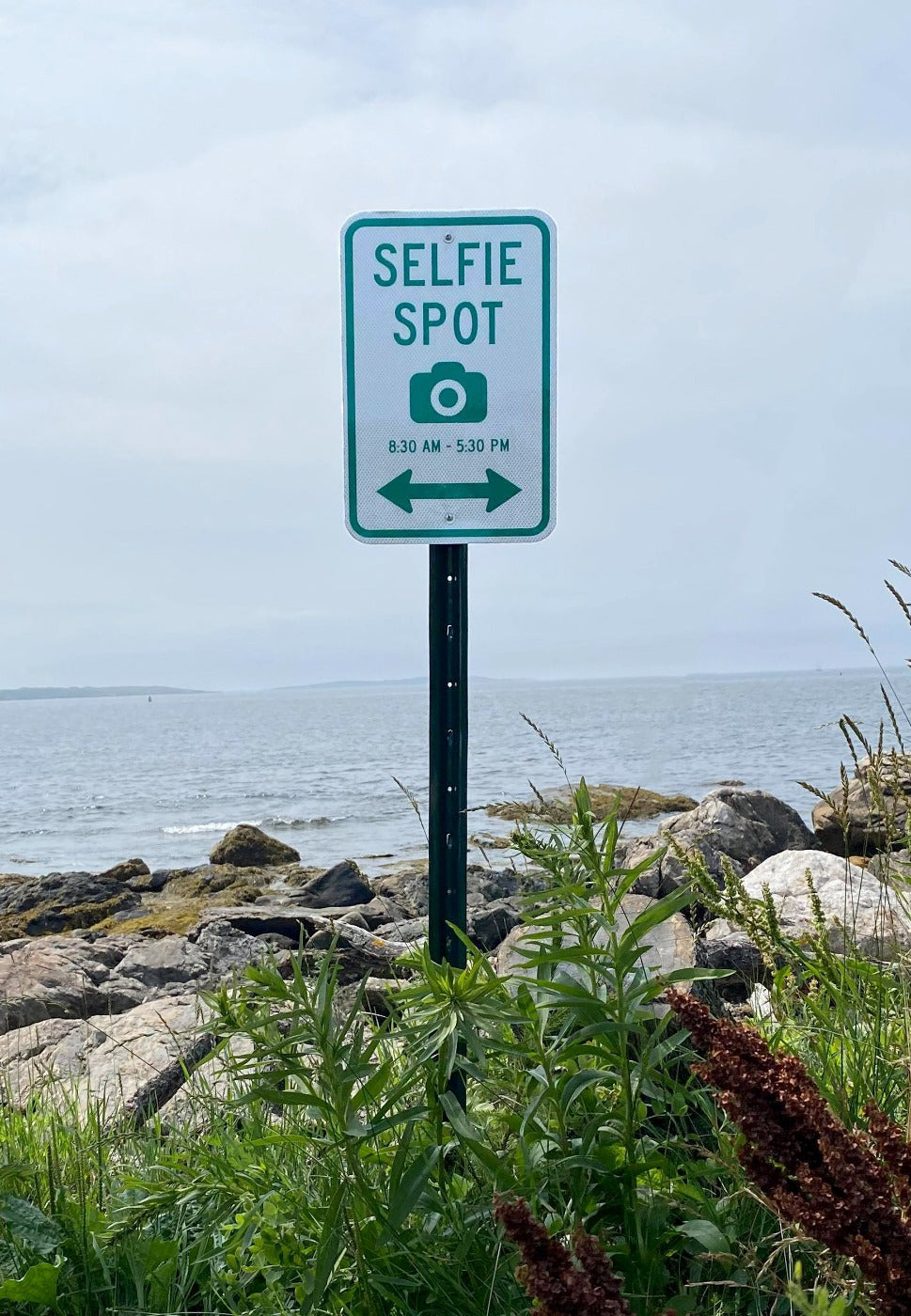 Brian Kane Selfie Spot Street Sign